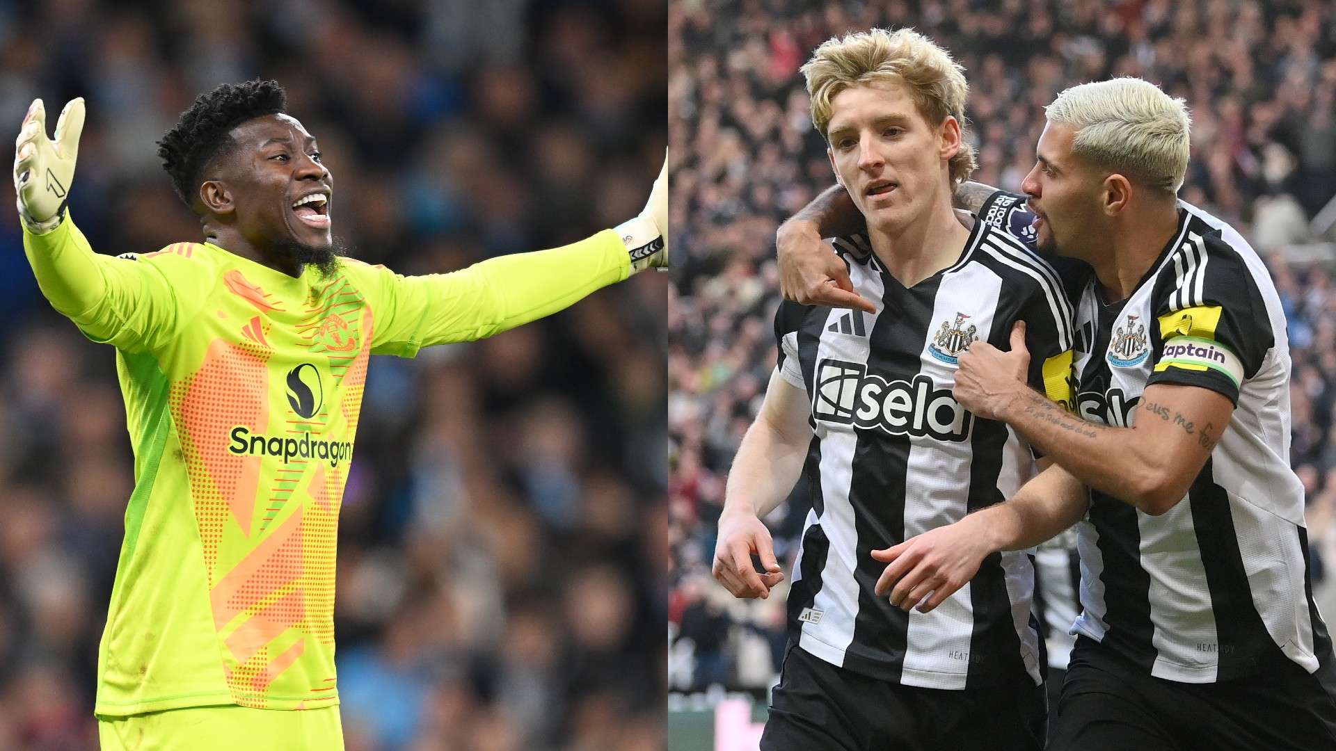 库里兄弟无 库里兄弟无