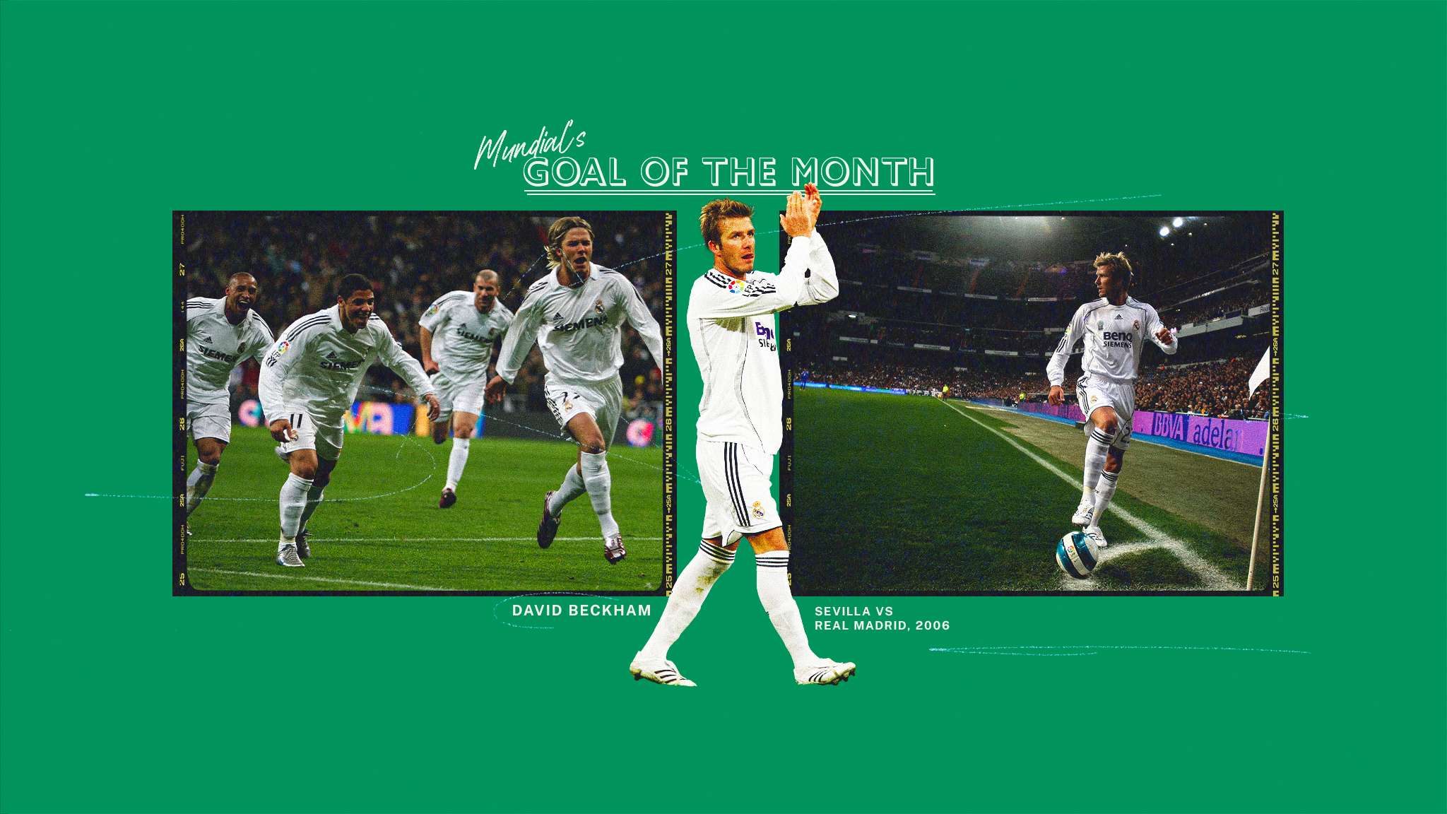 来自中国的 来自中国的